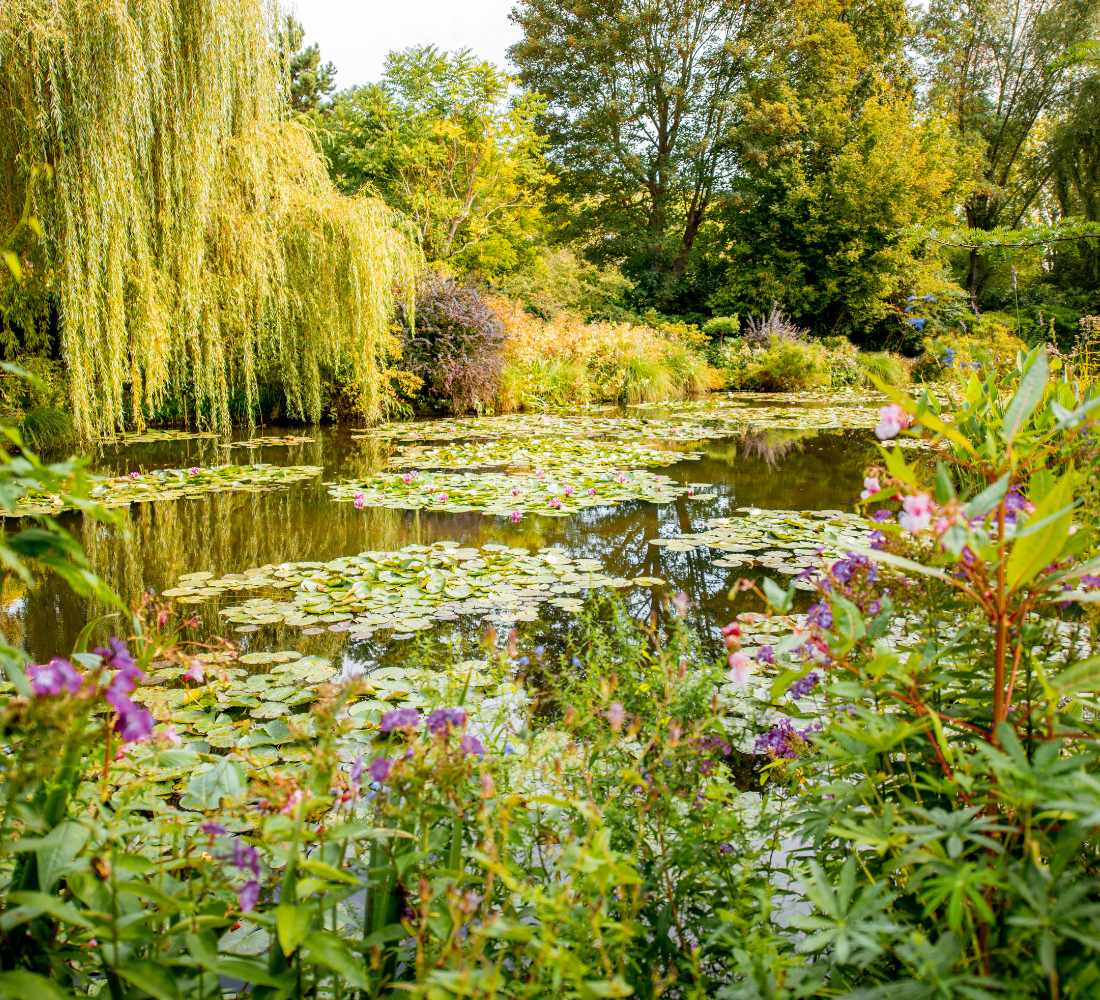 Yoga, Équilibre & Énergie en Normandie