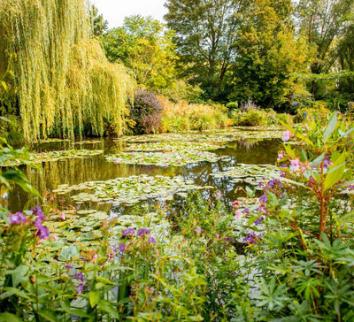 Mon premier week-end yoga en Normandie