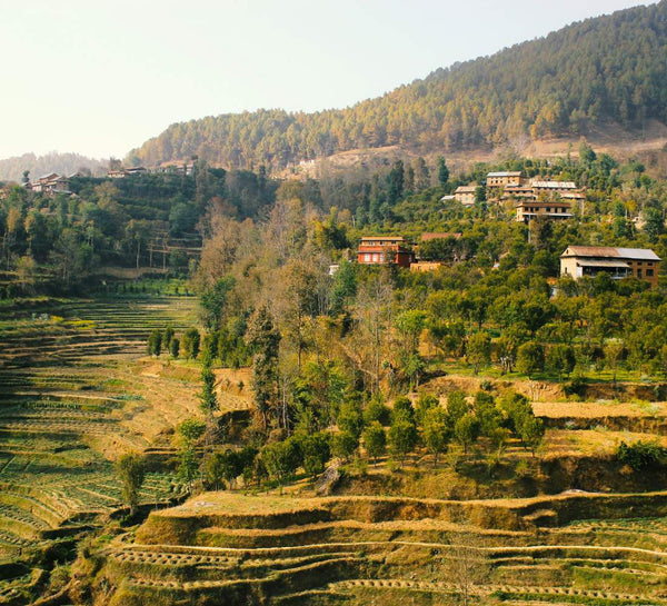 Népal • Entre Himalaya, temples sacrés et pleine présence