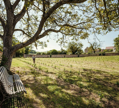 Nouvel an : Yoga, introspection & célébration en Bourgogne