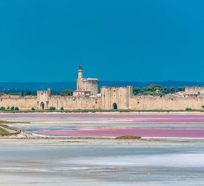 Retraite yoga nouvel an 2024 en Camargue