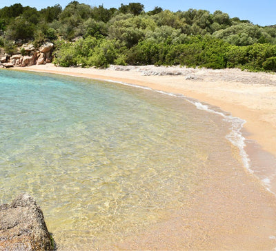 Retraite No Stress & Yoga en Corse (2024)