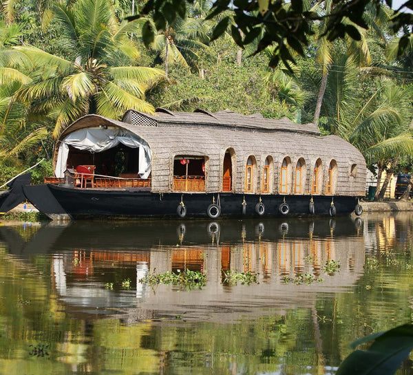 Voyage bien-être et yoga au Kerala en Inde du Sud