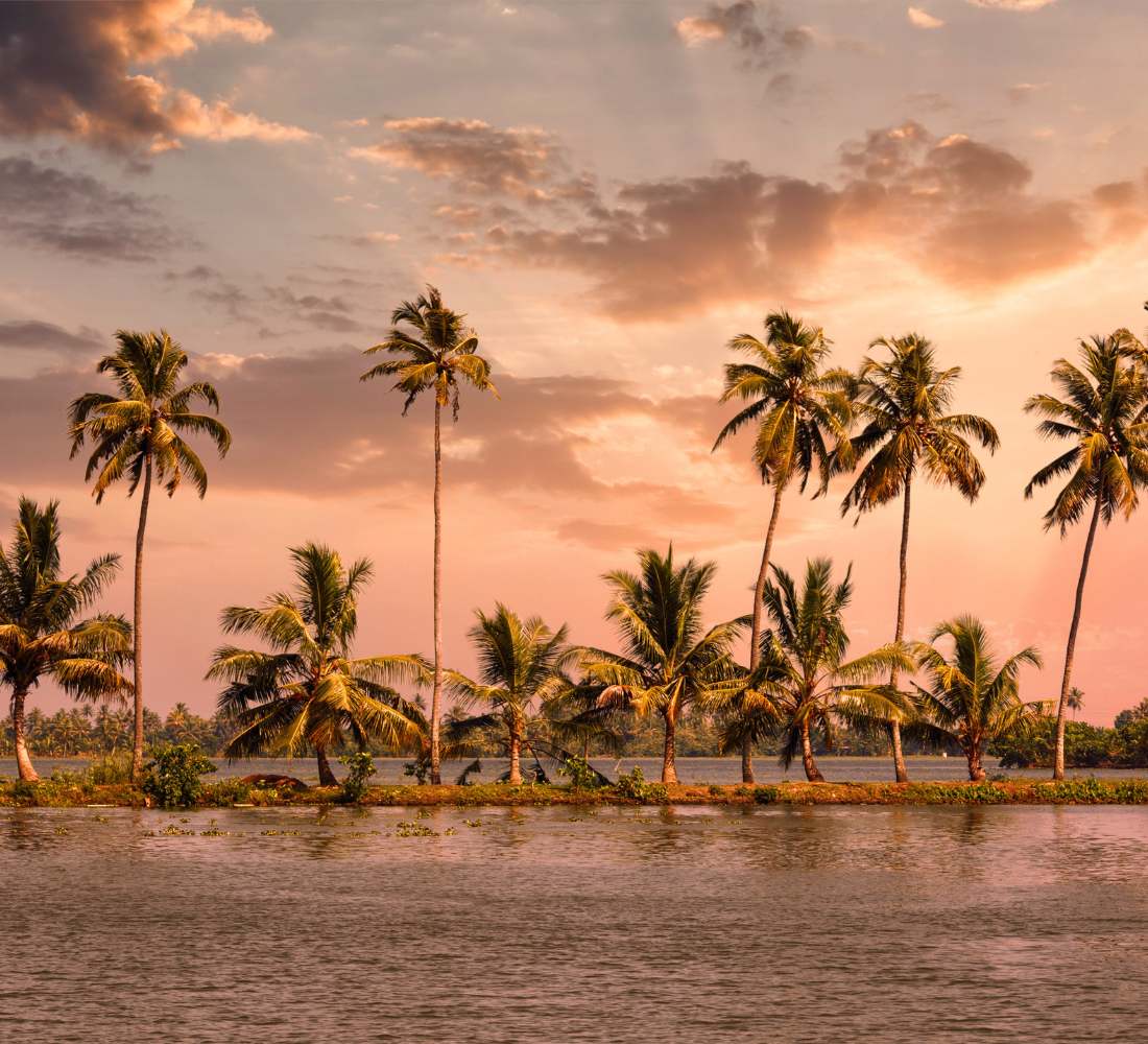 Voyage bien-être et yoga au Kerala en Inde du Sud