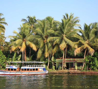 Voyage bien-être et yoga au Kerala en Inde du Sud