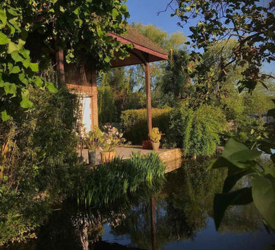 Yoga, Équilibre & Énergie en Normandie