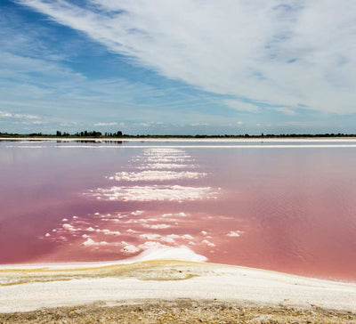 Retraite Équilibre et Énergie en Camargue - été (2024)