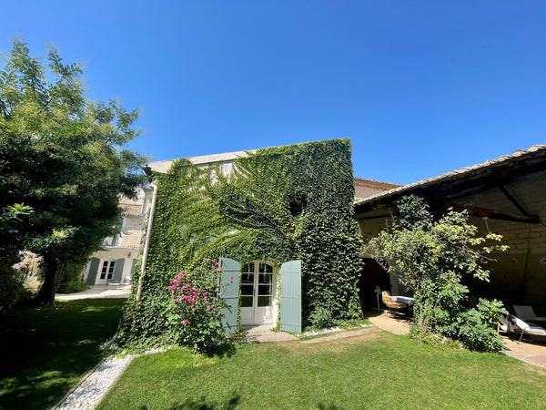 Yoga & Créativité en Camargue