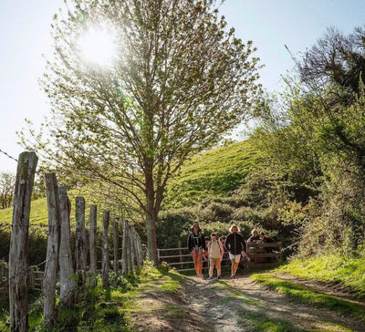 Un Été à Savourer : Yoga, Nature & Présence au Pays Basque