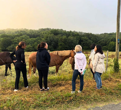 Yoga, Sauna & Nature dans le Sud - Ouest - Séjour