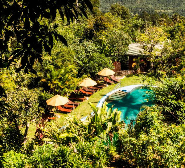 Voyage bien-être au Sri Lanka : entre jungle et océan