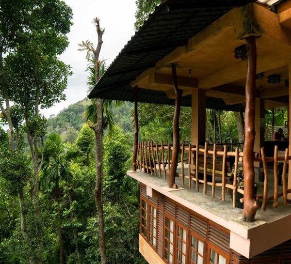 Voyage bien-être au Sri Lanka : entre jungle et océan