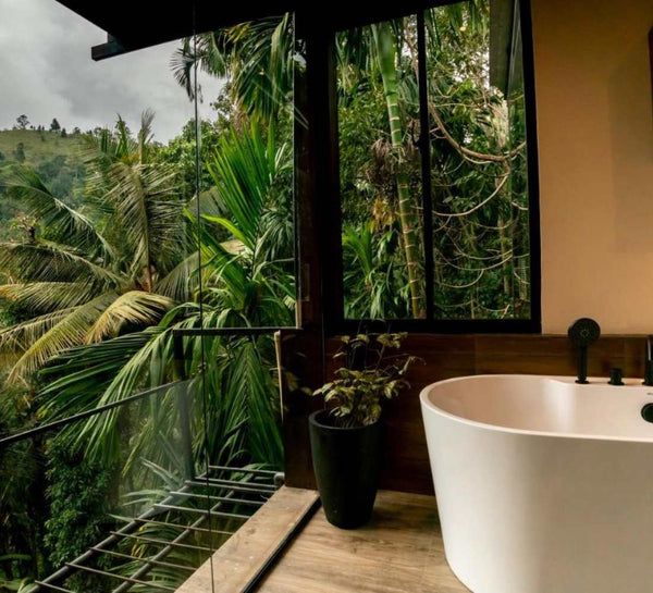 Voyage bien-être au Sri Lanka : entre jungle et océan