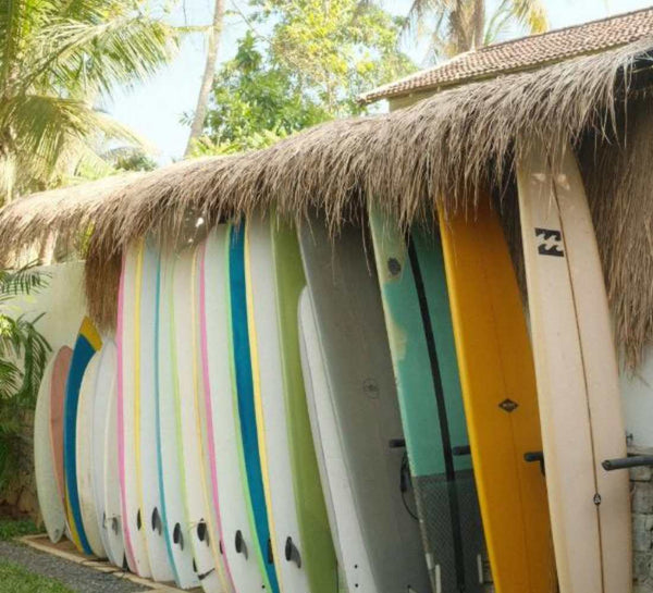 Voyage bien-être au Sri Lanka : entre jungle et océan