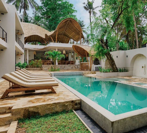Voyage bien-être au Sri Lanka : entre jungle et océan
