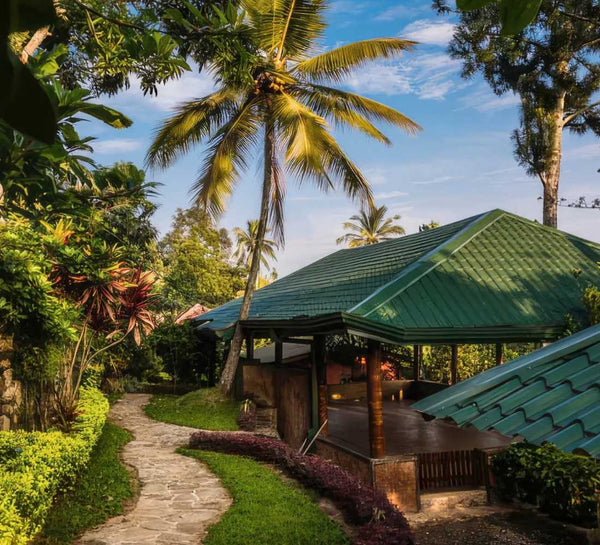 Voyage bien-être au Sri Lanka : entre jungle et océan