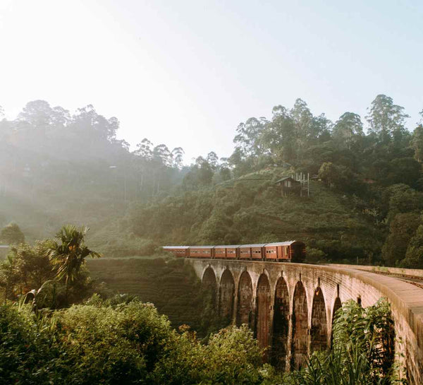 Voyage bien-être au Sri Lanka : entre jungle et océan