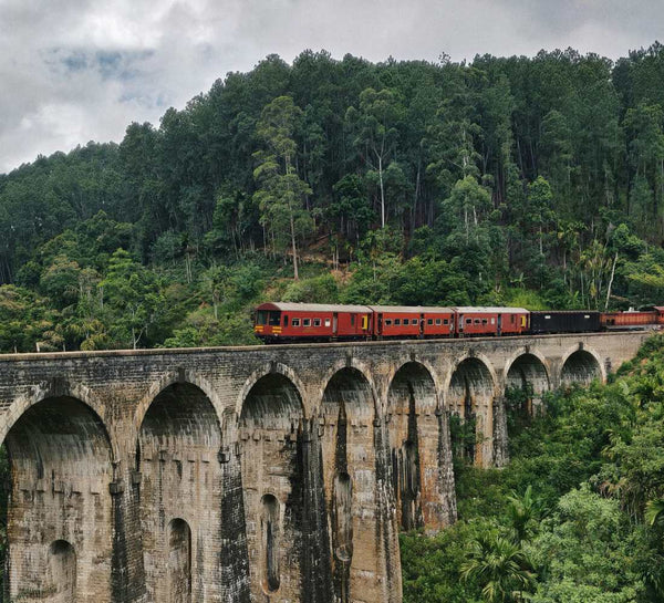 Voyage bien-être au Sri Lanka : entre jungle et océan