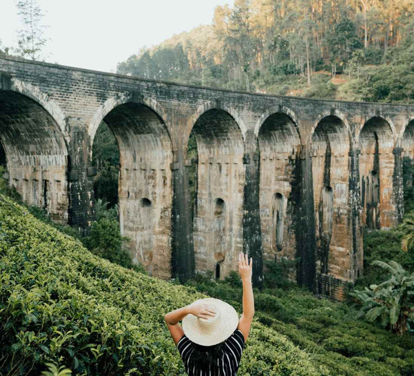 Voyage bien-être au Sri Lanka : entre jungle et océan