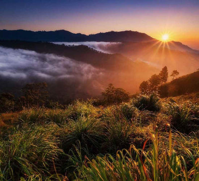 Voyage bien-être au Sri Lanka : entre jungle et océan