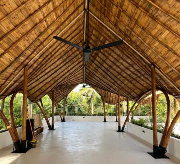 Voyage bien-être au Sri Lanka : entre jungle et océan