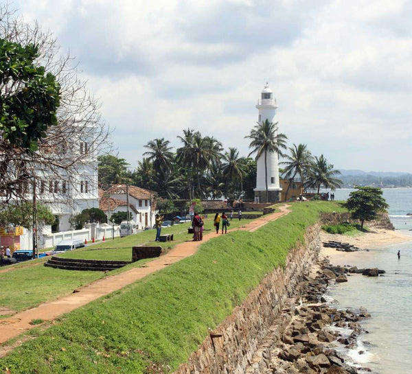 Voyage bien-être au Sri Lanka : entre jungle et océan