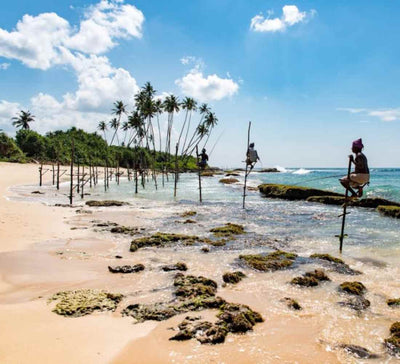 Voyage bien-être au Sri Lanka : entre jungle et océan