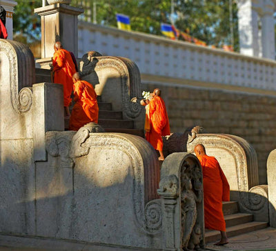 Sri Lanka • Voyage Initiatique entre Jungle & Océan