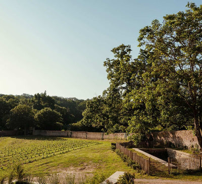 Impulsion : Yoga & Voyages Sonores en Bourgogne