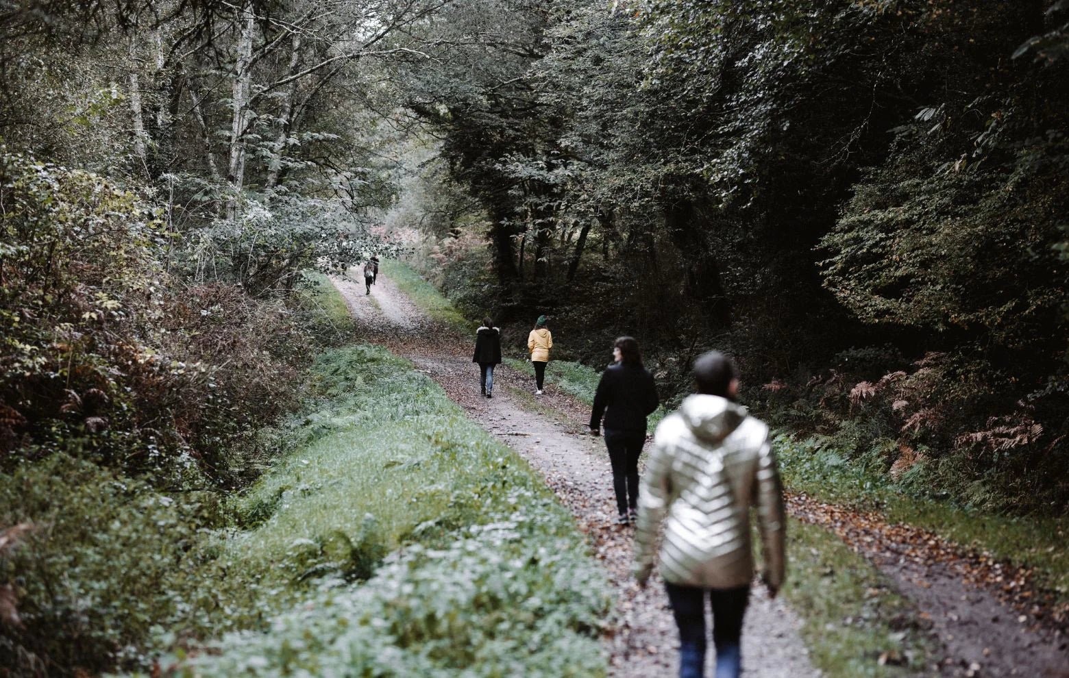 Yoga, Méditation & Cuisine Végétale en Bretagne