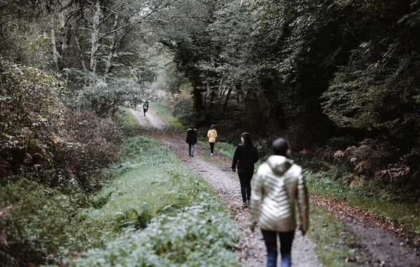 Yoga, Méditation & Cuisine Végétale en Bretagne