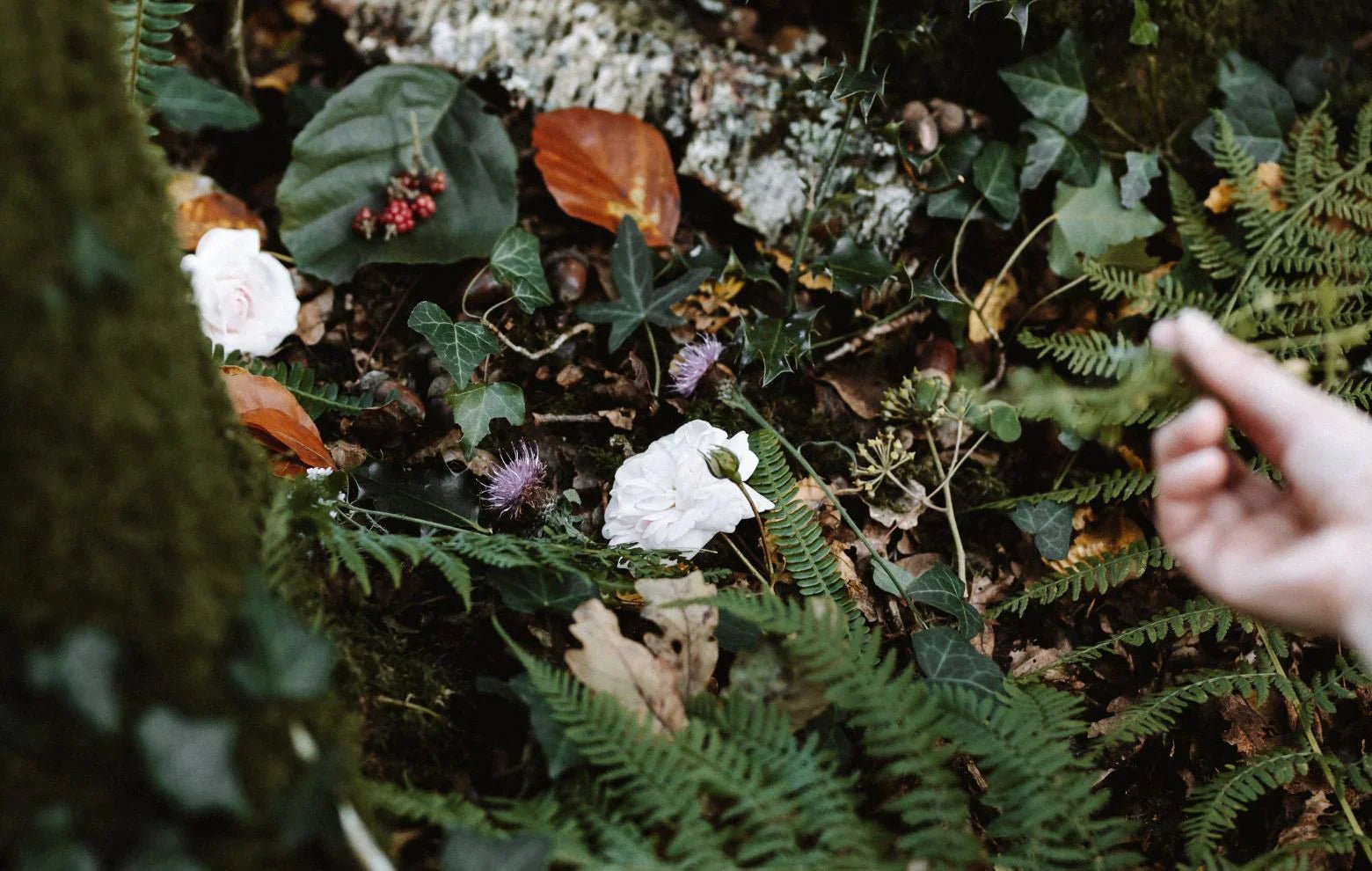 Yoga, Méditation & Cuisine Végétale en Bretagne