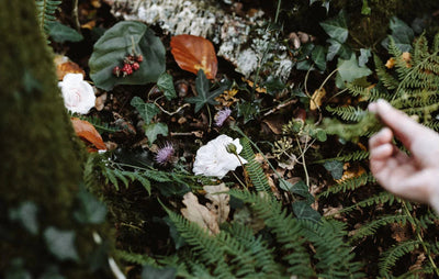 Yoga, Méditation & Cuisine Végétale en Bretagne