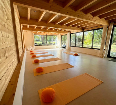 Retraite Yoga et Créativité en Bourgogne - été (2024)