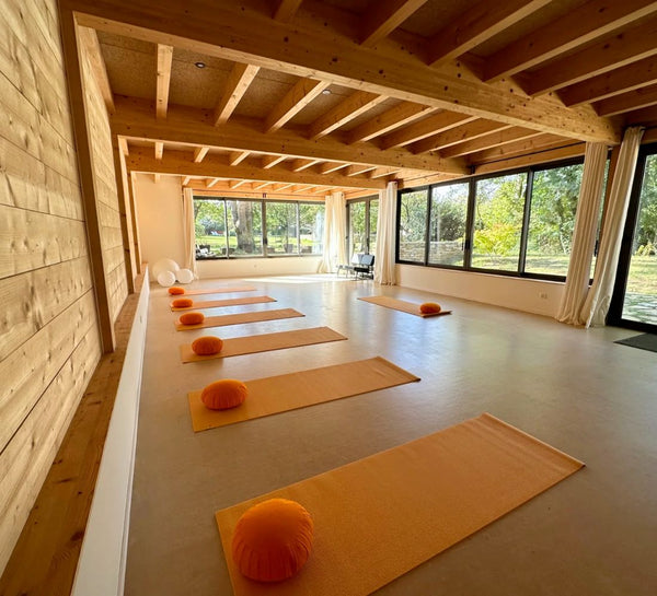 Retraite Yoga et Créativité en Bourgogne - été (2024)