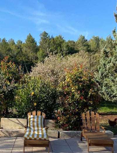 Yoga & Art de Vivre en Provence