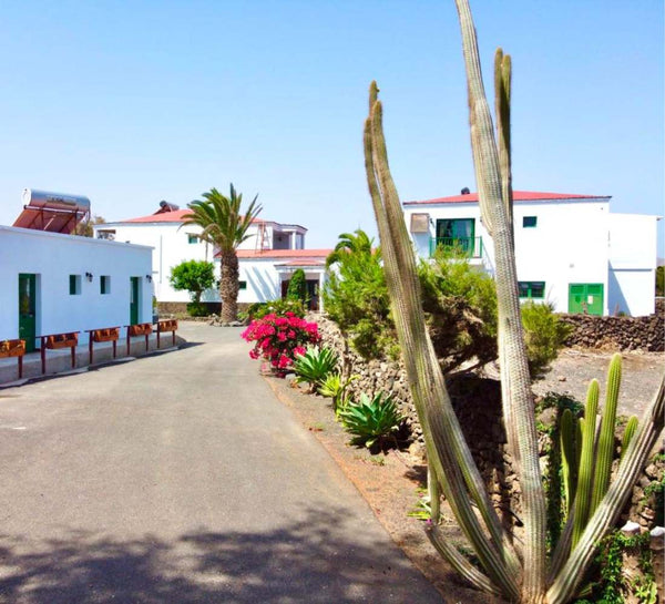 Yoga, surf & catamaran à Fuerteventura