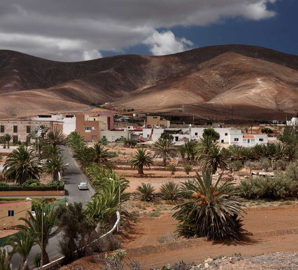 Yoga, surf & catamaran à Fuerteventura