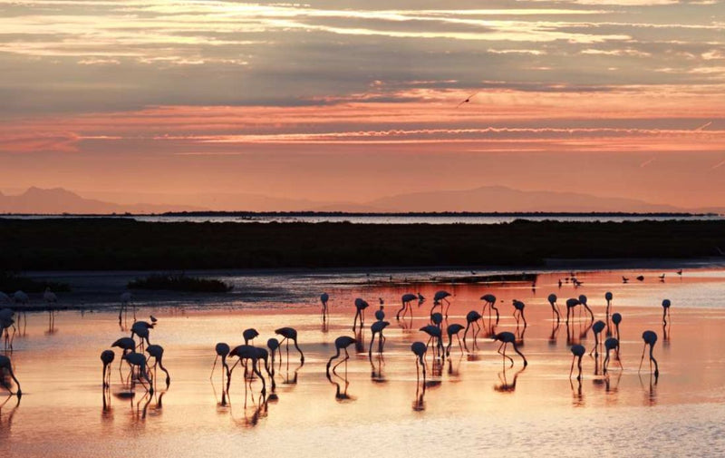 le-sejour-bien-etre-ideal-en-camargue-namastrip