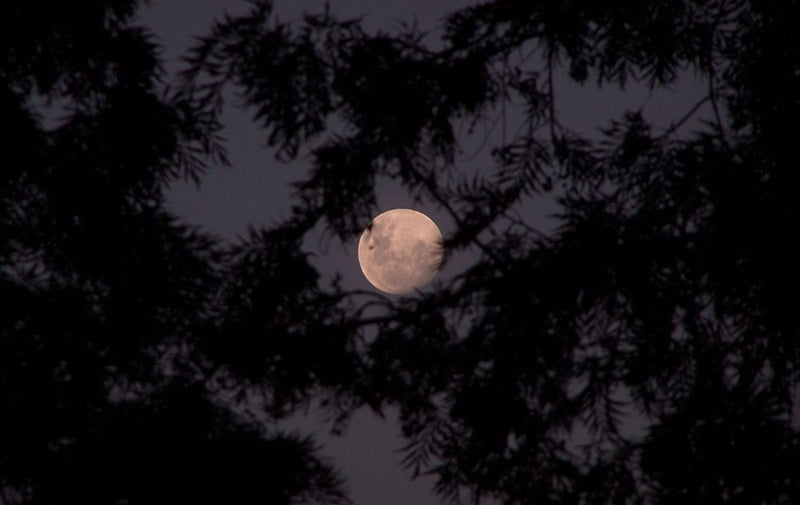 4-rituels-magiques-de-pleine-lune-namastrip