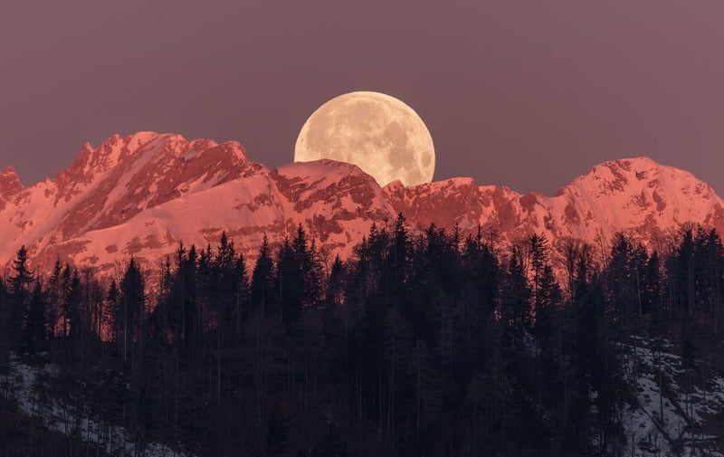 rituels-abondance-pour-nouvelle-lune-et-pleine-lune