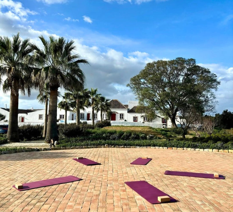 comment-choisir-sa-retraite-de-yoga