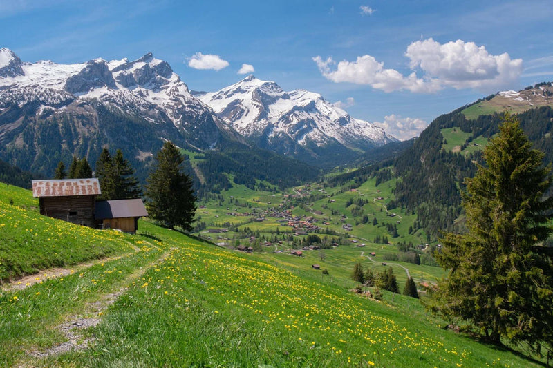 retraite-yoga-en-suisse-bienfaits-lieux-inspirants-et-conseils-pour-choisir-votre-sejour