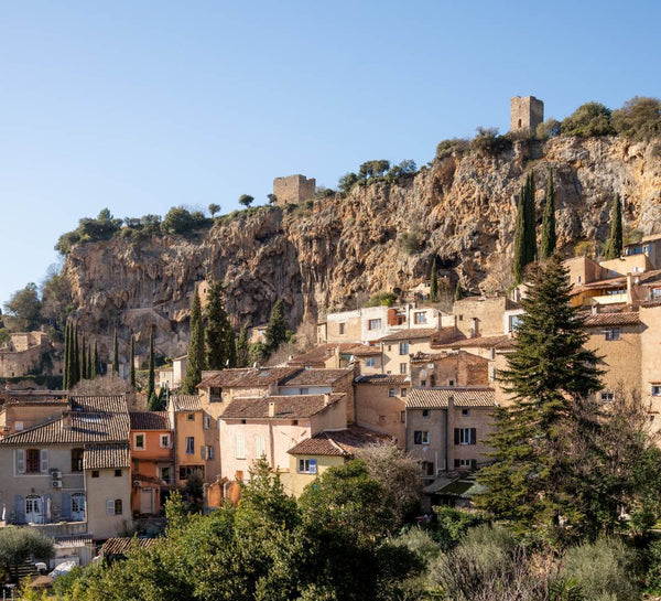 Retraite Équilibre et Énergie en Provence