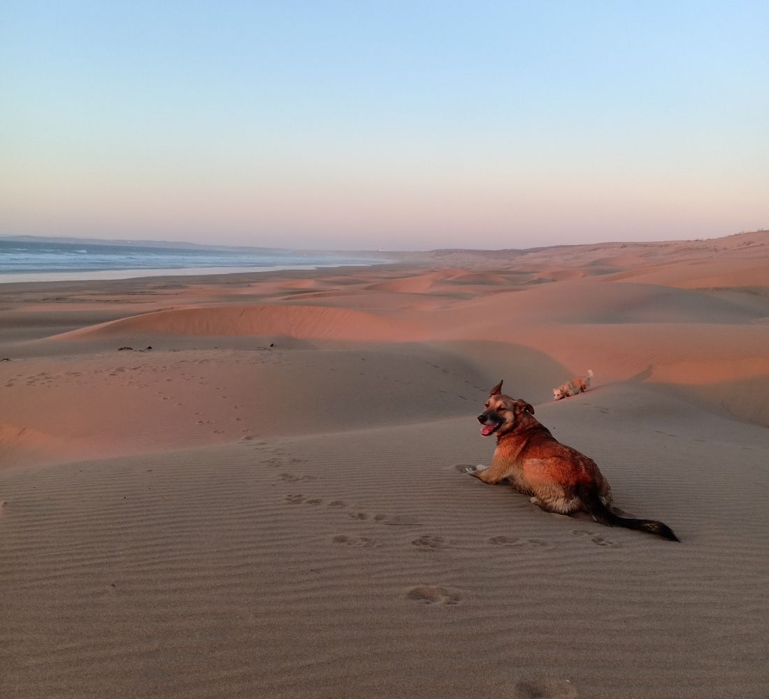 Nouvel an : Surf et Yoga à Essaouira