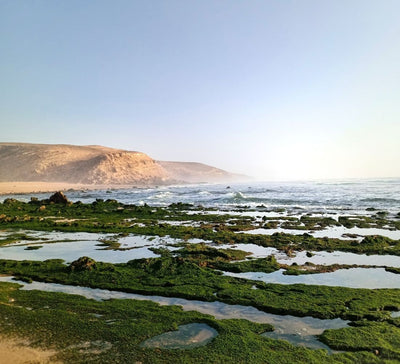 Retraite Surf et Yoga à Essaouira