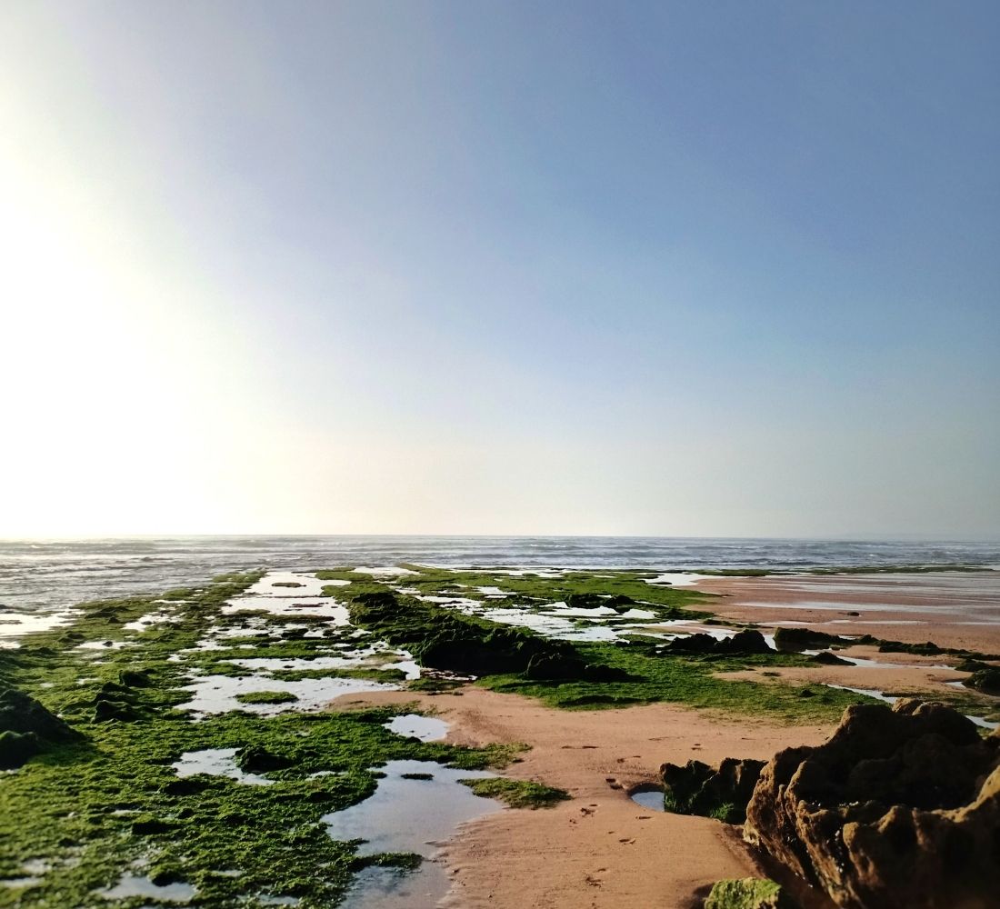 Retraite Surf et Yoga à Essaouira