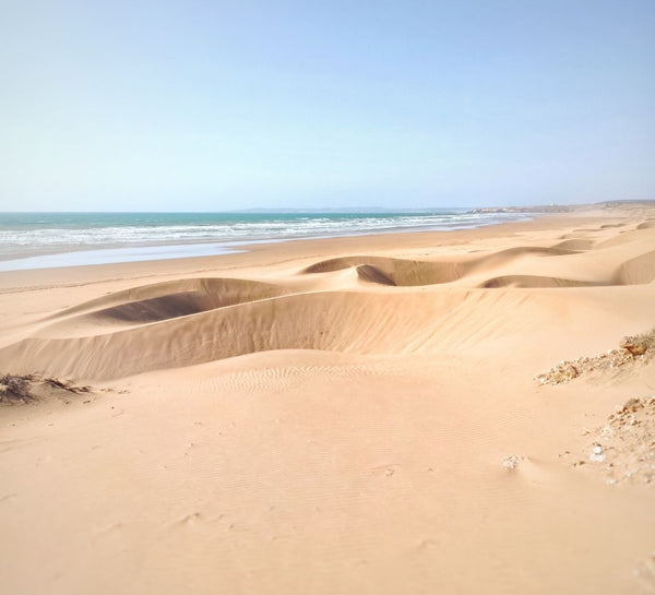 Nouvel an : Surf et Yoga à Essaouira