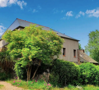 Yoga, Méditation & Cuisine Végétale en Bretagne
