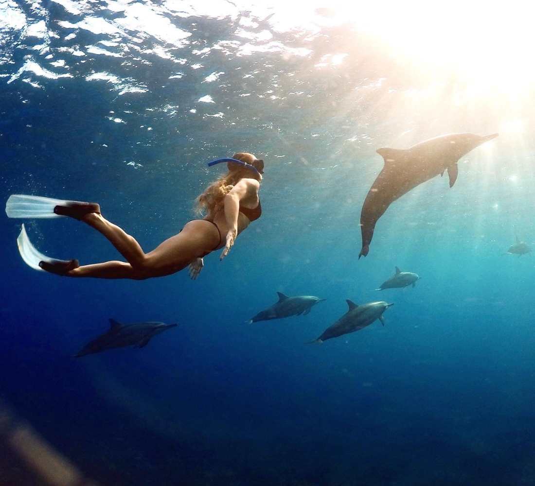 Yoga & rencontre avec les dauphins à l'île Maurice